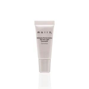 Ultimate Performance See The Light Concealer