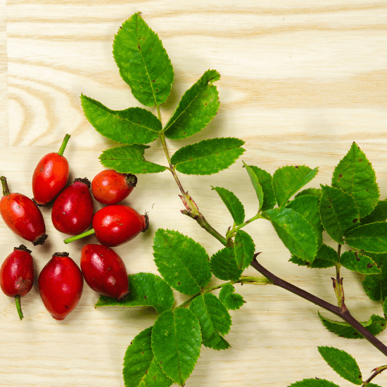 Is Rosehip Oil the New Retinol?